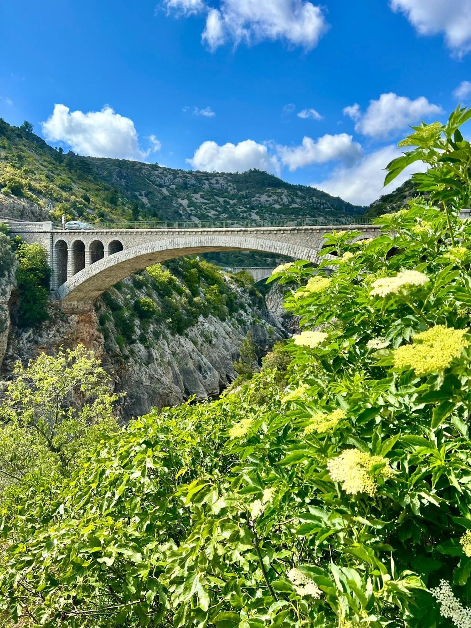 Melisande Au Pays Des Orjouliers Saint-Jean-de-Fos Eksteriør bilde